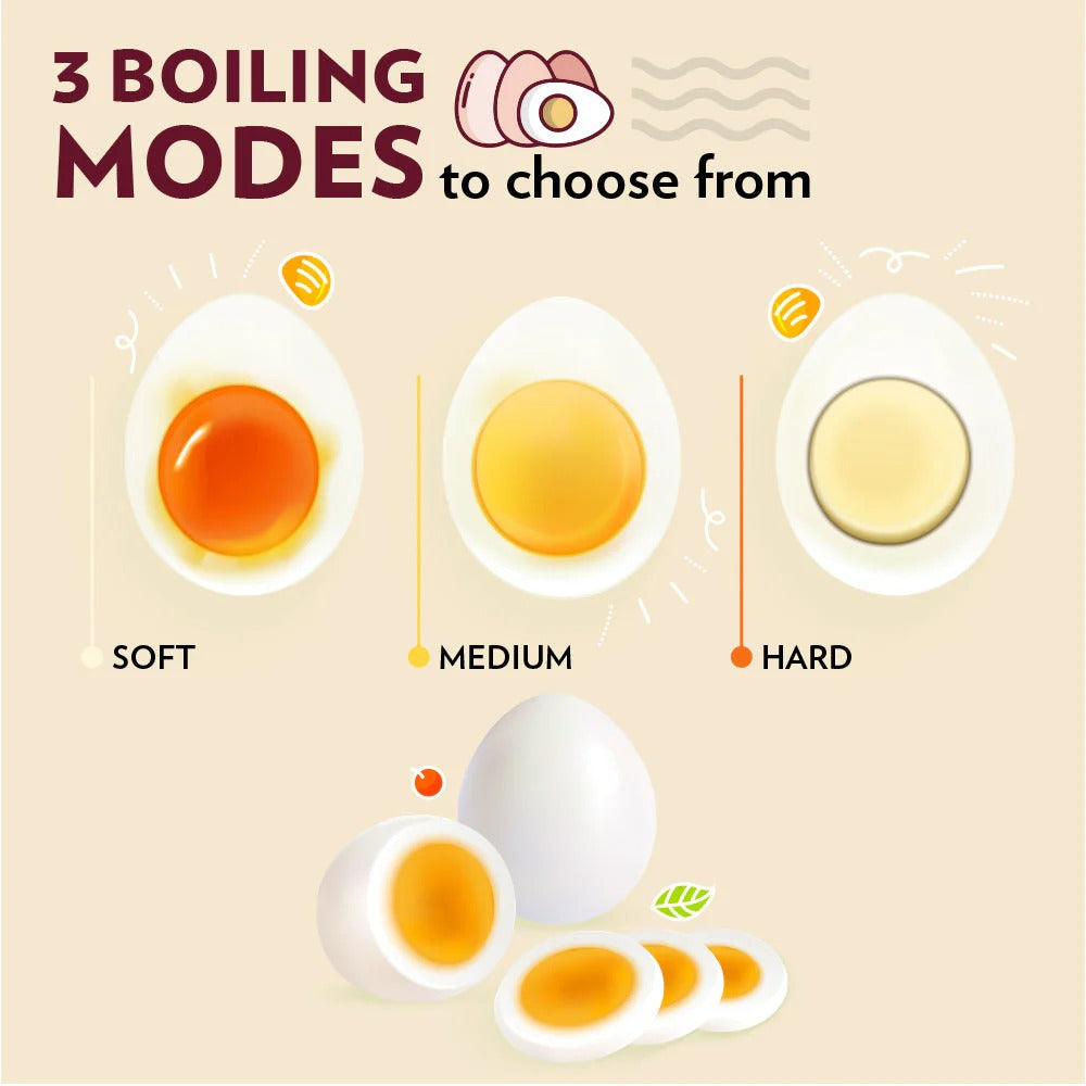 Borosil Electric Plus Egg Boiler (8 Egg Capacity, 500W)