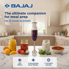 Bajaj HB 23 Hand Blender with Wall Mount, Purple & White (160W)