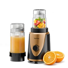 Lifelong LLNB22 Nutri Blender with 2 Jars, Black & Gold (400W)