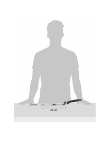 Bergner Carbon TT Pancake Pan (26 cm)