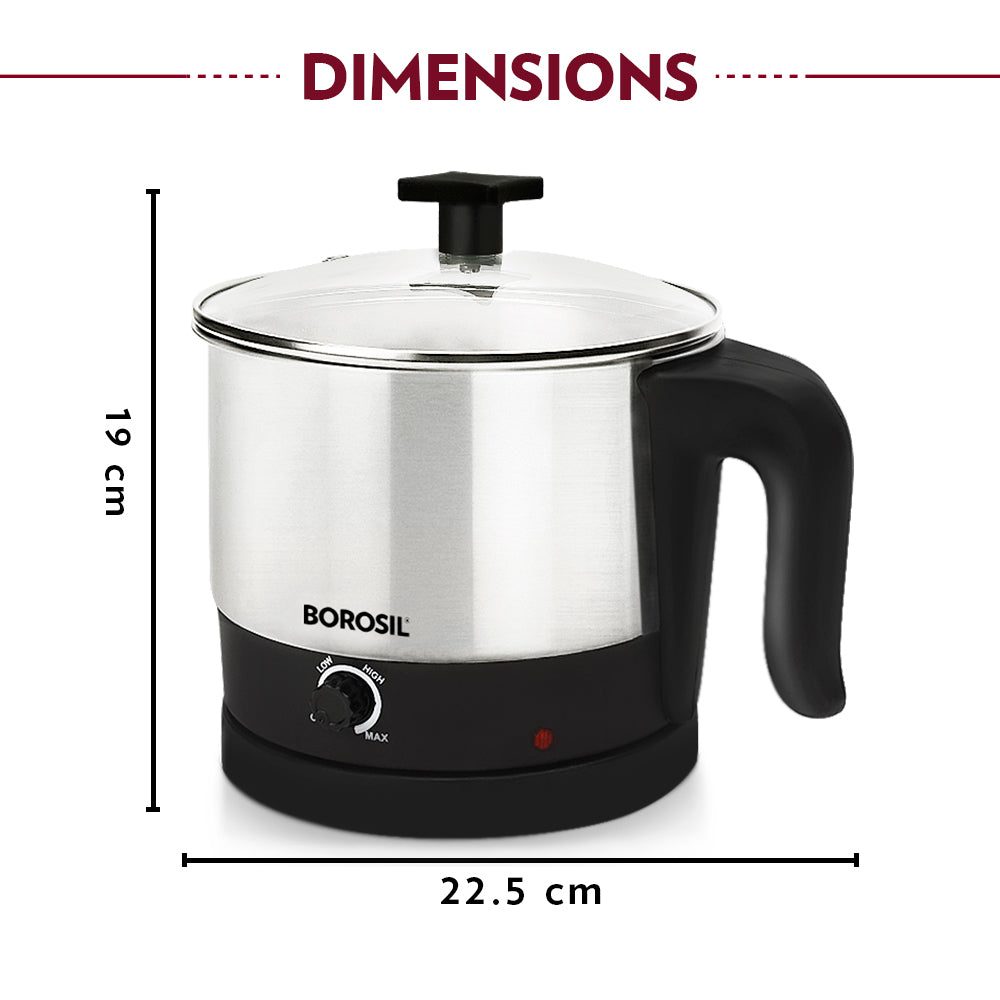 Borosil Omni Stainless Steel Multi-Purpose Electric Kettle, Silver & Black (1L, 600W)