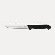 Rena Steak Knife, Stainless Steel Serrated Knife (Made in India)