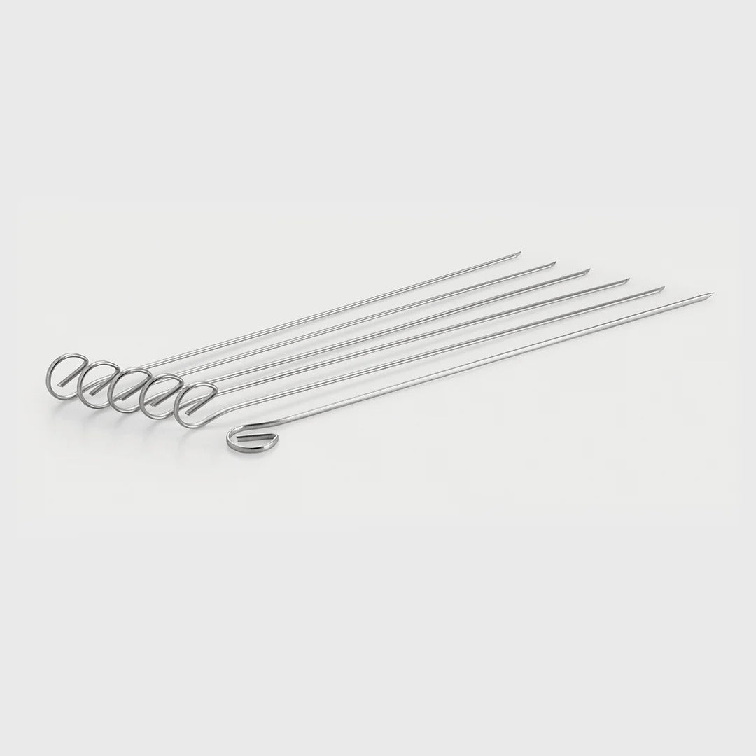 Rena Skewer – 6 Pcs Pack, Stainless Steel Reusable Skewers (210 mm) (Made in India)
